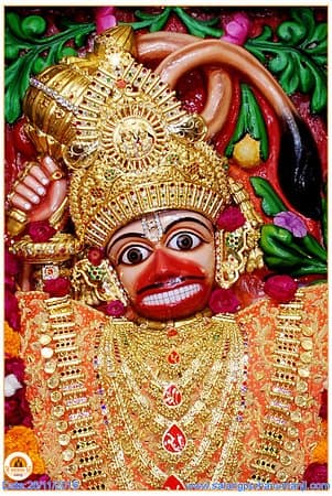 Spiritual pooja service illustration representing authentic temple rituals